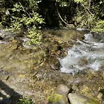 Felagowka Murzasichle