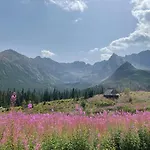 Felagowka