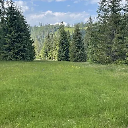 Felagowka Guest house