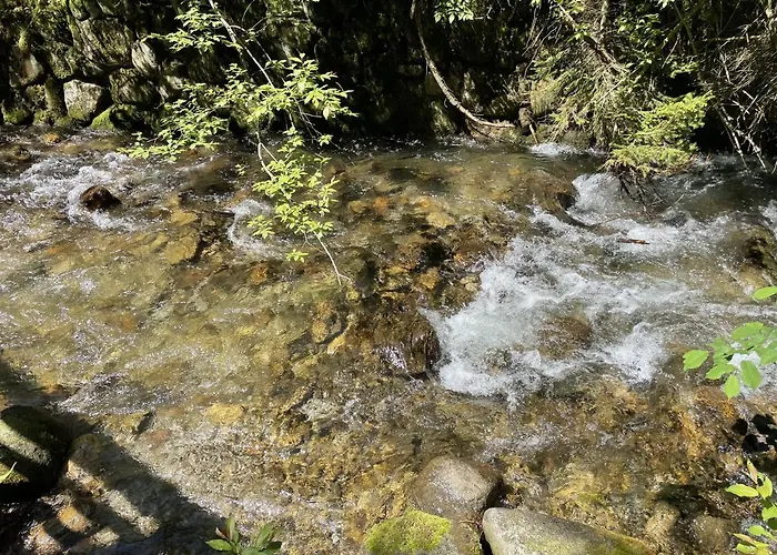 Felagowka 穆扎希赫尔